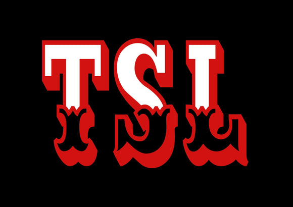 TSL rotary tattoo machines