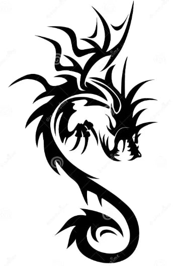 Dragonhook  tattoo starter  kit