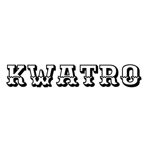 KWATRO cartridge needle Liner 0.30